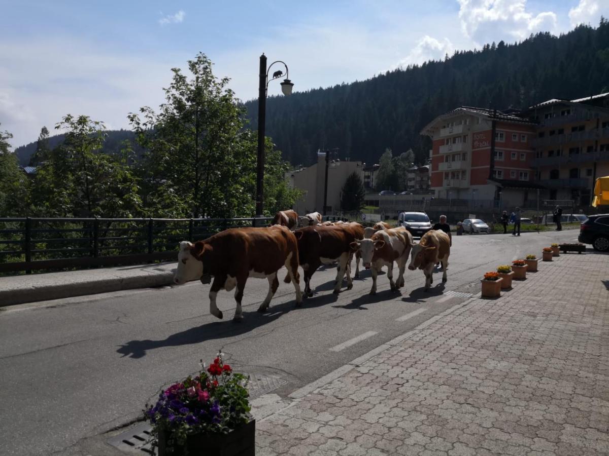 Hotel Bonapace ***S Madonna di Campiglio Ngoại thất bức ảnh